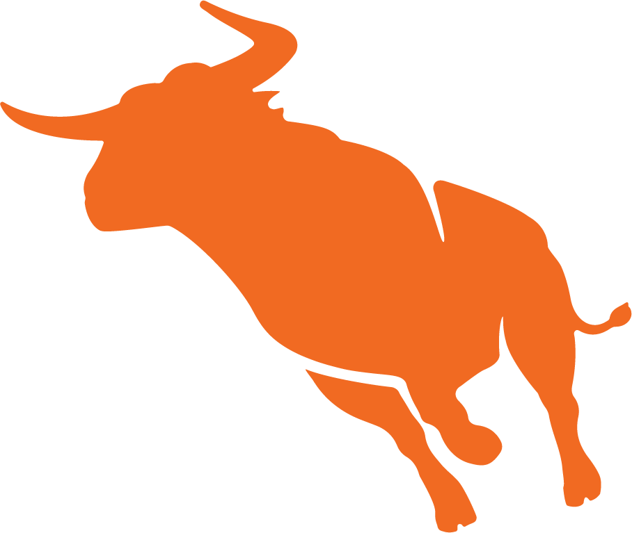 Bullhorn Bull